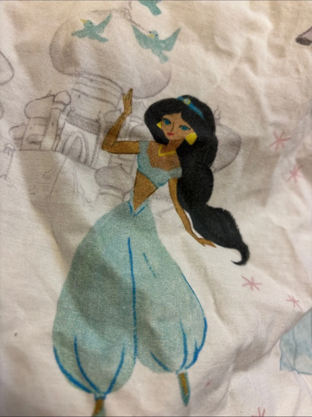Pottery Barn Kids Princess Print Fitted Sheet and 1 Pillow Case